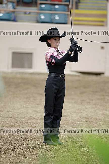 Proof 11yn_00316