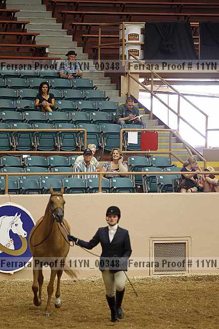Proof 11yn_00348