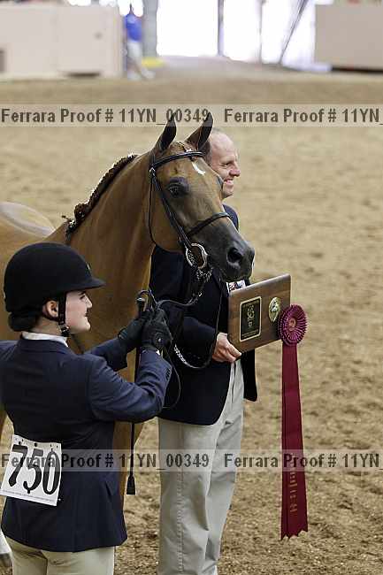 Proof 11yn_00349