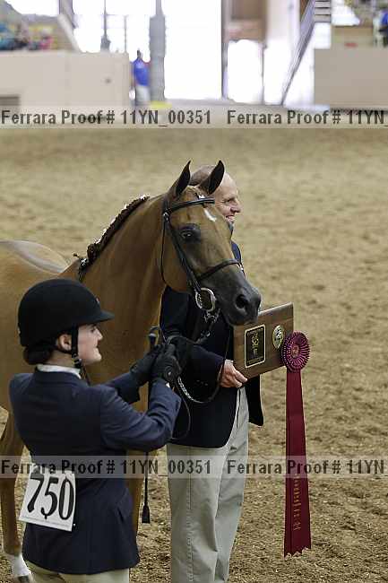Proof 11yn_00351