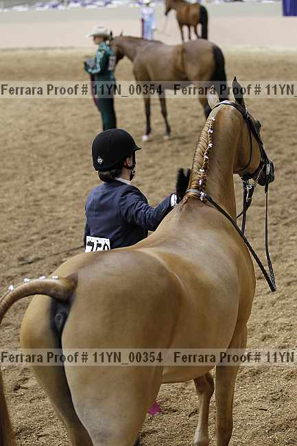 Proof 11yn_00354