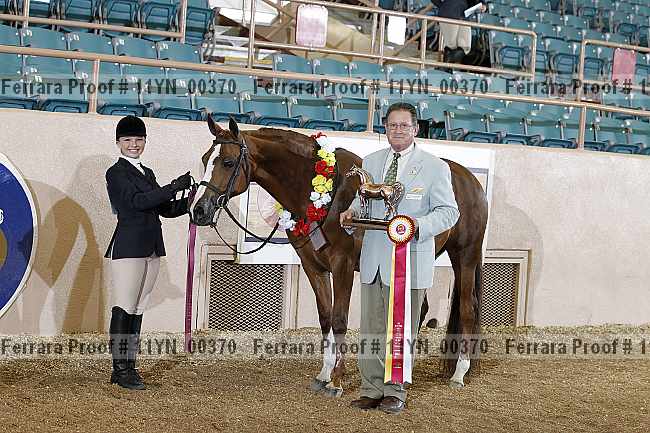 Proof 11yn_00370