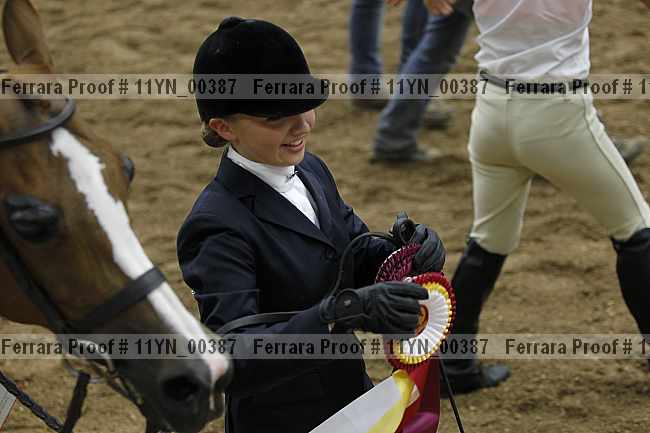 Proof 11yn_00387