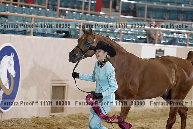 Proof 11yn_00390