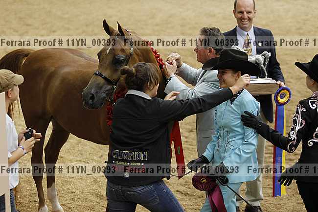 Proof 11yn_00393