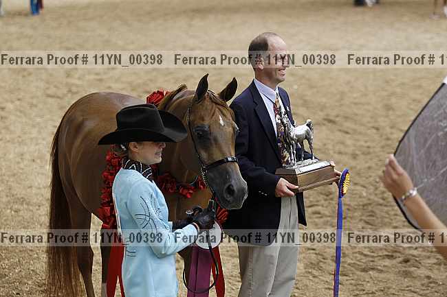 Proof 11yn_00398