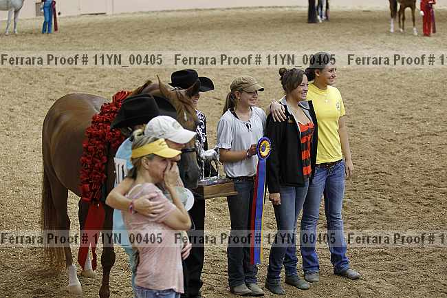 Proof 11yn_00405