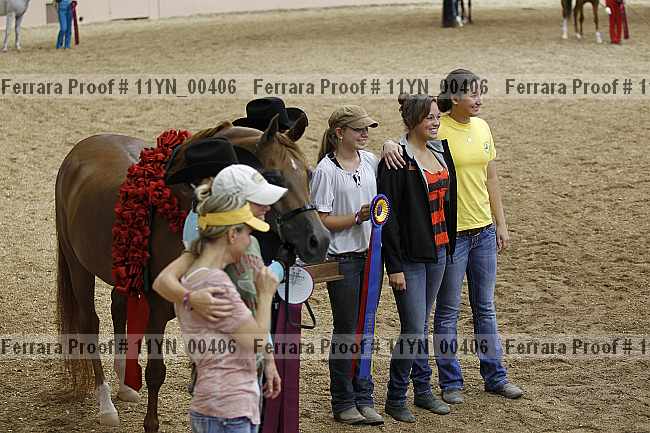 Proof 11yn_00406