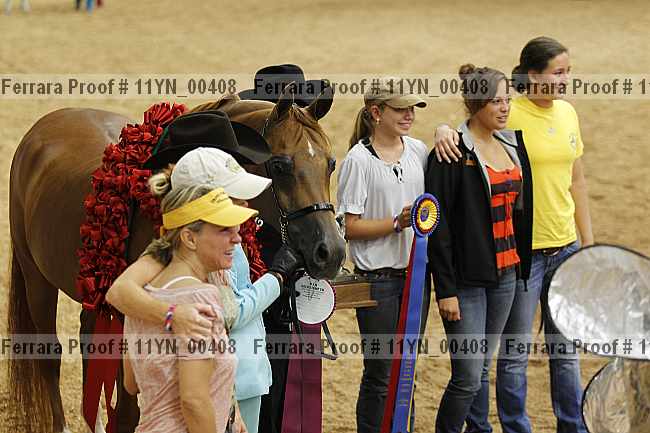Proof 11yn_00408