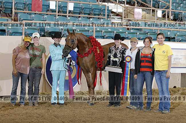 Proof 11yn_00409