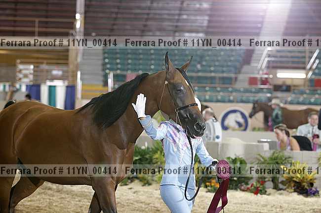 Proof 11yn_00414