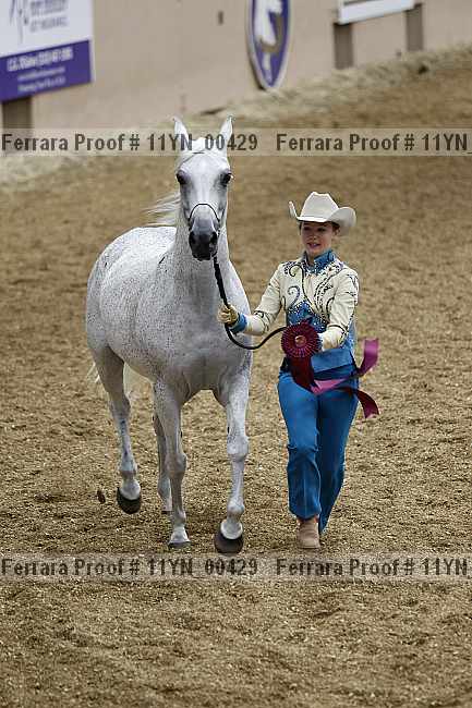 Proof 11yn_00429