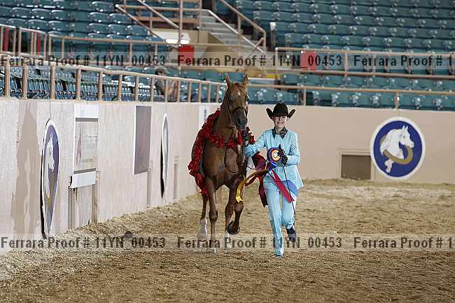 Proof 11yn_00453