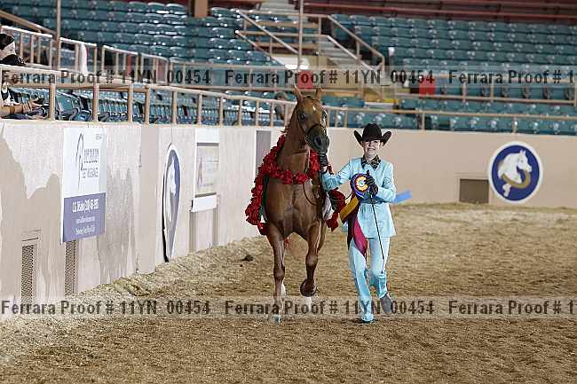 Proof 11yn_00454