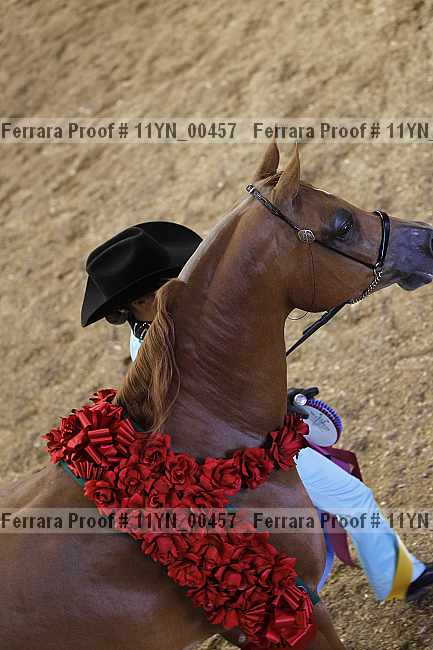 Proof 11yn_00457
