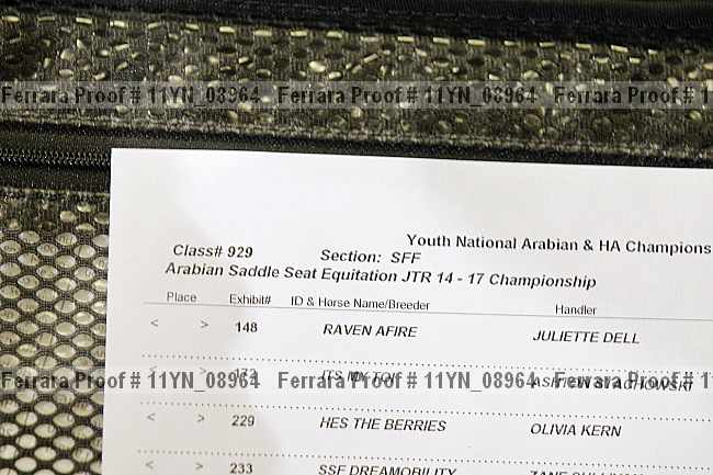 Proof 11yn_08964