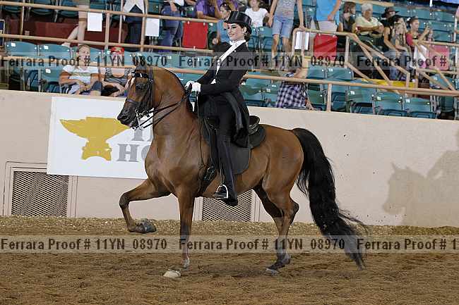 Proof 11yn_08970