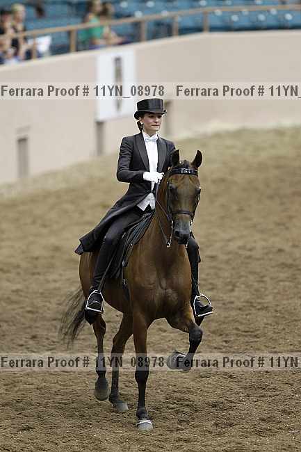 Proof 11yn_08978