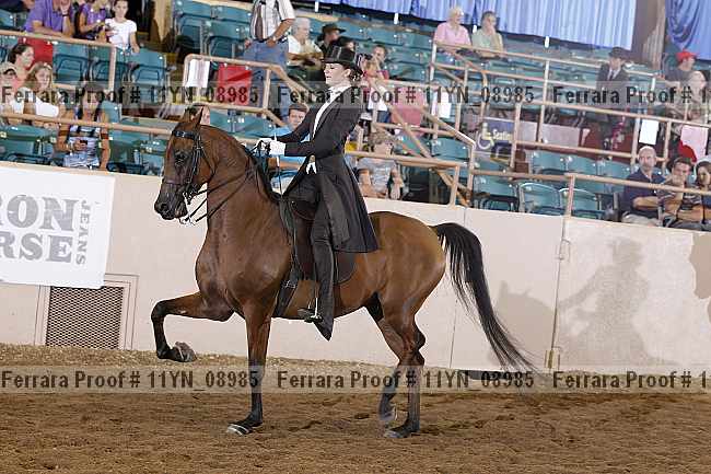 Proof 11yn_08985