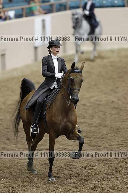 Proof 11yn_08988