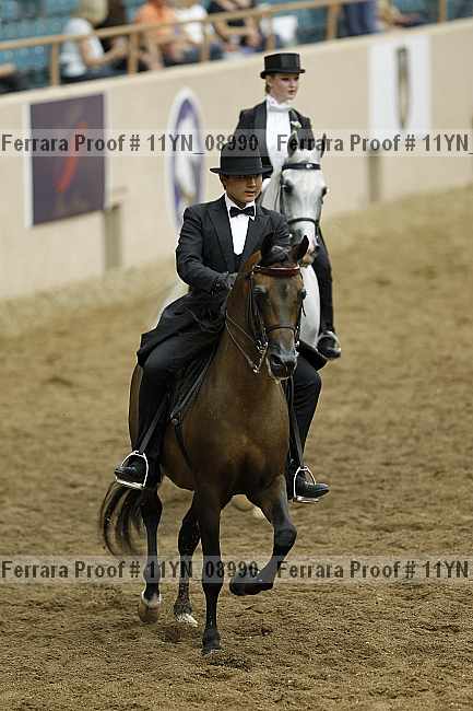Proof 11yn_08990