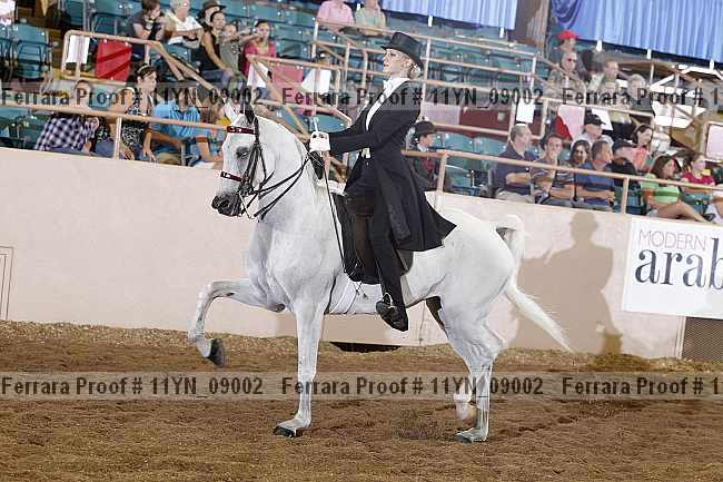 Proof 11yn_09002