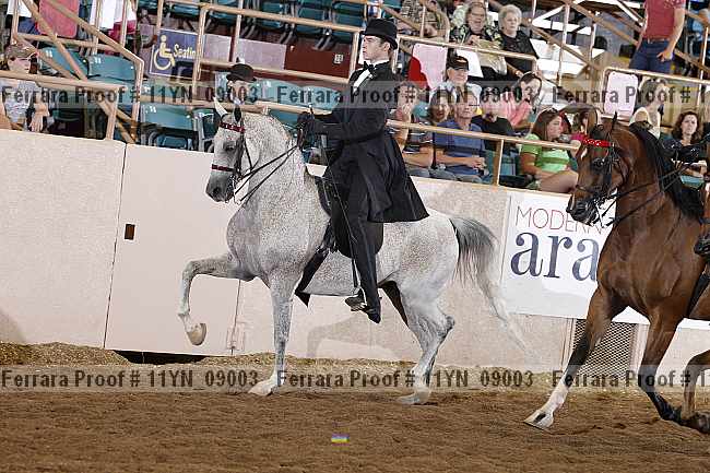 Proof 11yn_09003