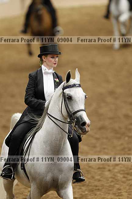Proof 11yn_09004