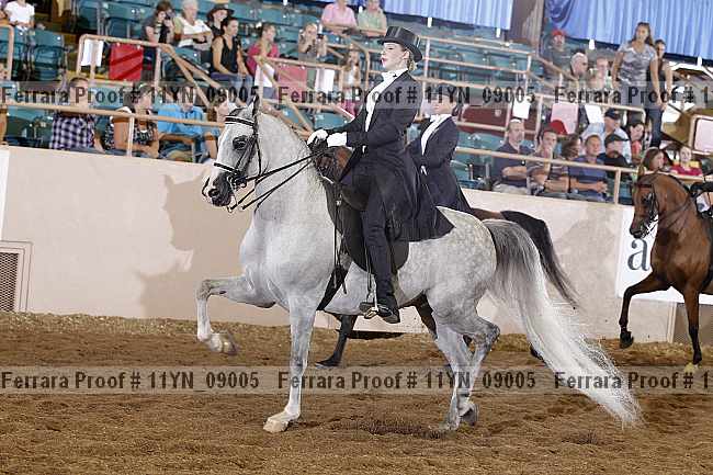Proof 11yn_09005