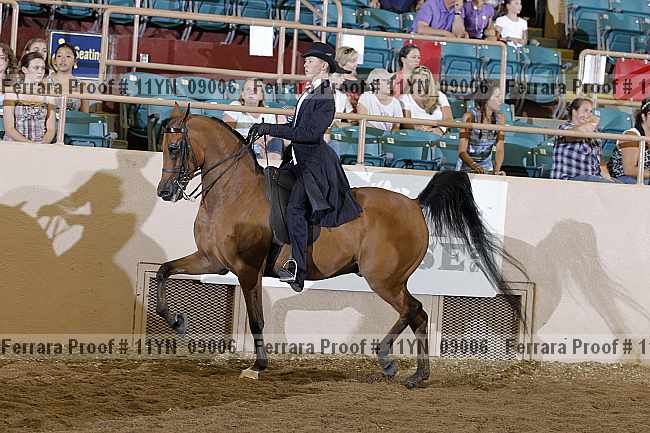 Proof 11yn_09006