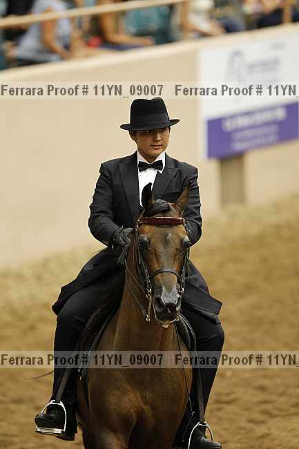 Proof 11yn_09007