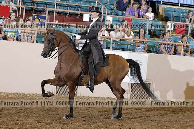 Proof 11yn_09008