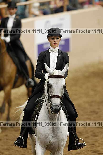 Proof 11yn_09009