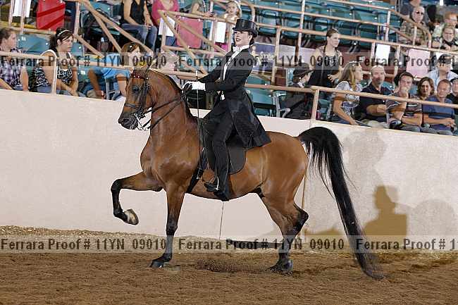 Proof 11yn_09010