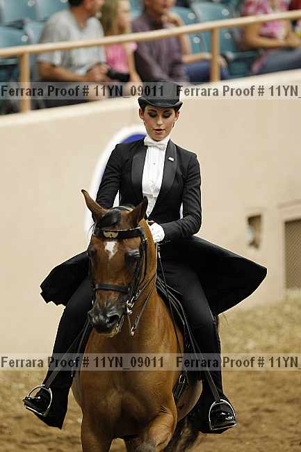 Proof 11yn_09011