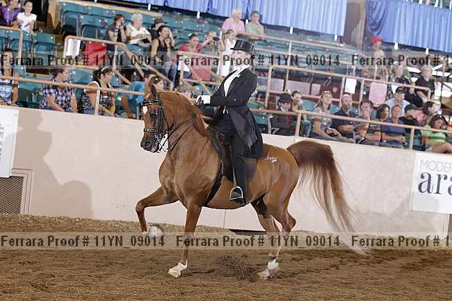 Proof 11yn_09014