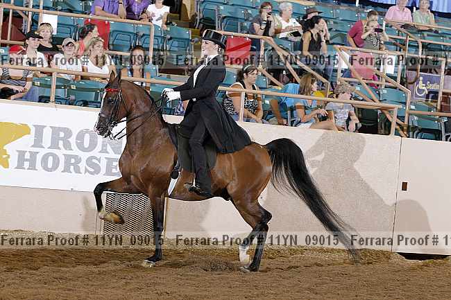 Proof 11yn_09015