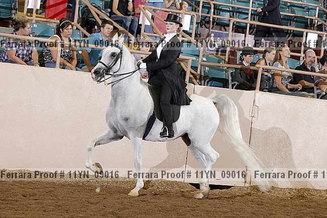Proof 11yn_09016