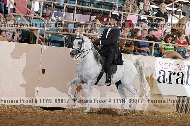 Proof 11yn_09017