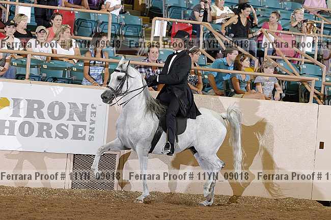 Proof 11yn_09018