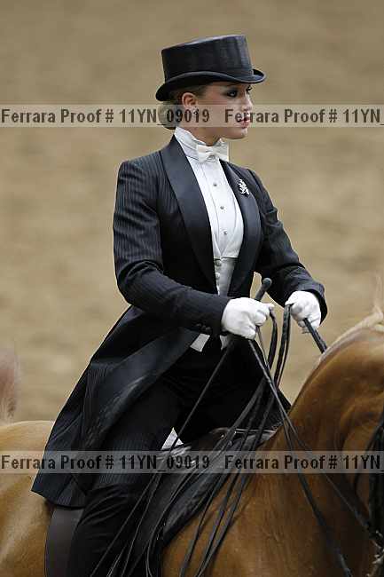 Proof 11yn_09019