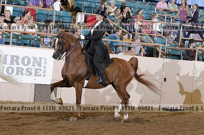 Proof 11yn_09021