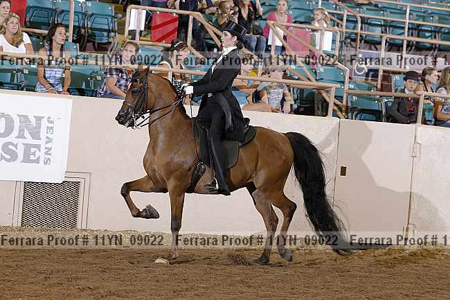 Proof 11yn_09022