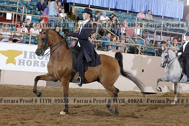 Proof 11yn_09024