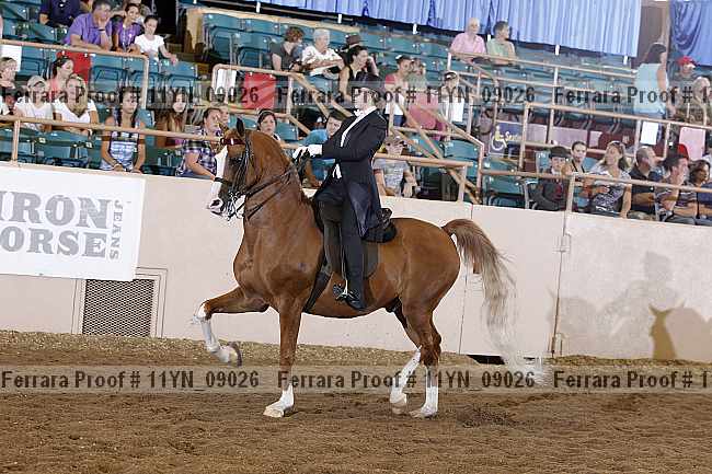 Proof 11yn_09026