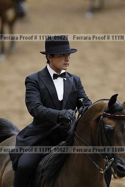 Proof 11yn_09027
