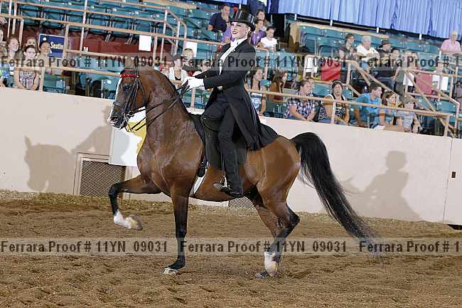 Proof 11yn_09031