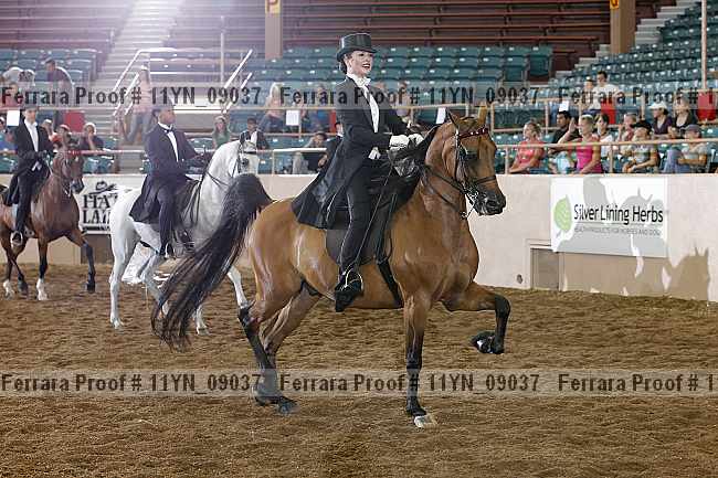 Proof 11yn_09037