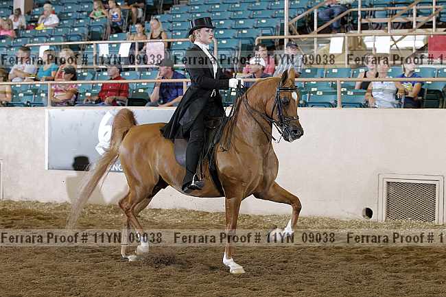 Proof 11yn_09038