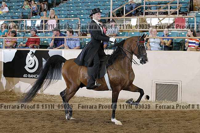 Proof 11yn_09039